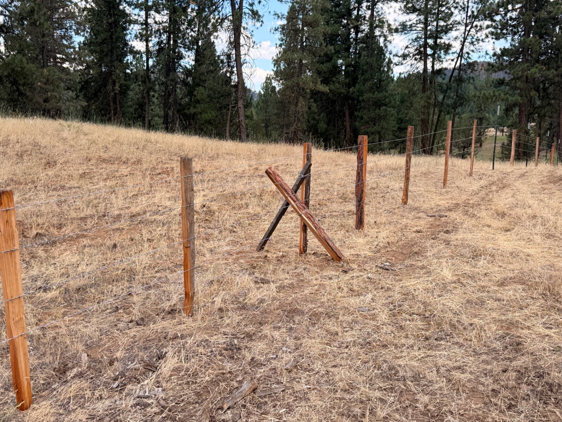 Wooden posts with barbed wire and X-brace